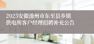 2025安徽池州市东至县乡镇供电所客户经理招聘补充公告