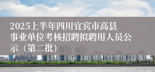 2025上半年四川宜宾市高县事业单位考核招聘拟聘用人员公示（第二批）