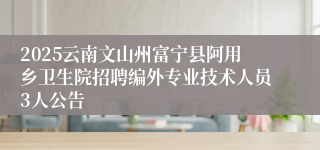 2025云南文山州富宁县阿用乡卫生院招聘编外专业技术人员3人公告