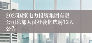 2025国家电力投资集团有限公司总部人员社会化选聘12人公告