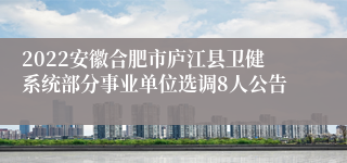 2022安徽合肥市庐江县卫健系统部分事业单位选调8人公告