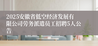 2025安徽省低空经济发展有限公司劳务派遣员工招聘5人公告