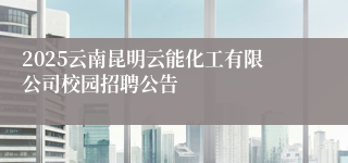 2025云南昆明云能化工有限公司校园招聘公告