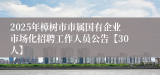 2025年樟树市市属国有企业市场化招聘工作人员公告【30人】