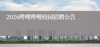 2026哔哩哔哩校园招聘公告