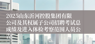 2025山东沂河控股集团有限公司及其权属子公司招聘考试总成绩及进入体检考察范围人员公告