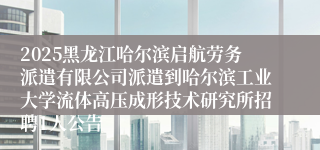 2025黑龙江哈尔滨启航劳务派遣有限公司派遣到哈尔滨工业大学流体高压成形技术研究所招聘1人公告