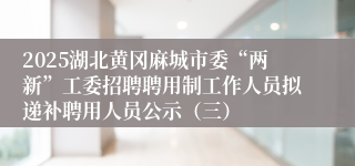 2025湖北黄冈麻城市委“两新”工委招聘聘用制工作人员拟递补聘用人员公示（三）