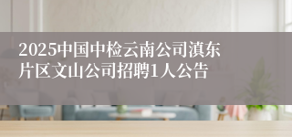 2025中国中检云南公司滇东片区文山公司招聘1人公告