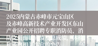 2025内蒙古赤峰市元宝山区及赤峰高新技术产业开发区东山产业园公开招聘专职消防员、消防文员面试成绩及总成绩，体检和考察相关事宜的公告