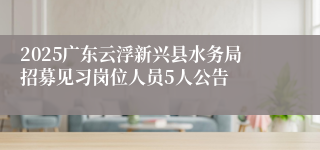 2025广东云浮新兴县水务局招募见习岗位人员5人公告