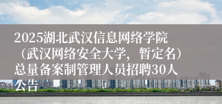 2025湖北武汉信息网络学院（武汉网络安全大学，暂定名）总量备案制管理人员招聘30人公告
