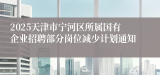 2025天津市宁河区所属国有企业招聘部分岗位减少计划通知