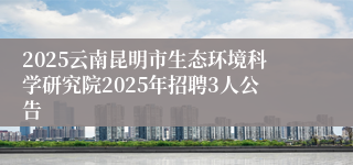 2025云南昆明市生态环境科学研究院2025年招聘3人公告