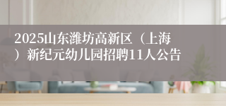 2025山东潍坊高新区（上海）新纪元幼儿园招聘11人公告