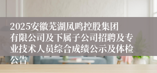 2025安徽芜湖凤鸣控股集团有限公司及下属子公司招聘及专业技术人员综合成绩公示及体检公告