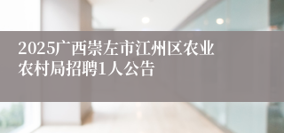 2025广西崇左市江州区农业农村局招聘1人公告