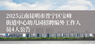2025云南昆明市晋宁区宝峰街道中心幼儿园招聘编外工作人员4人公告