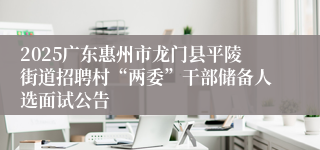 2025广东惠州市龙门县平陵街道招聘村“两委”干部储备人选面试公告