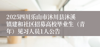 2025四川乐山市沐川县沐溪镇建和社区招募高校毕业生（青年）见习人员1人公告