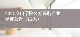 2025文山学院公开选聘产业导师公告（12人）