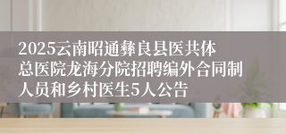2025云南昭通彝良县医共体总医院龙海分院招聘编外合同制人员和乡村医生5人公告