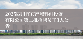 2025四川宜宾产城科创投资有限公司第二批招聘员工3人公告