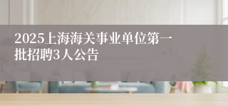 2025上海海关事业单位第一批招聘3人公告