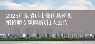 2025广东清远市佛冈县迳头镇招聘专职网格员1人公告