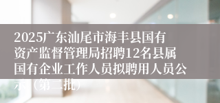 2025广东汕尾市海丰县国有资产监督管理局招聘12名县属国有企业工作人员拟聘用人员公示（第二批）
