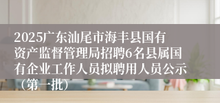 2025广东汕尾市海丰县国有资产监督管理局招聘6名县属国有企业工作人员拟聘用人员公示（第一批）