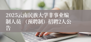 2025云南民族大学非事业编制人员 （预聘制）招聘2人公告