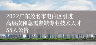 2022广东茂名市电白区引进高层次和急需紧缺专业技术人才55人公告