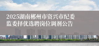 2025湖南郴州市资兴市纪委监委择优选聘岗位调剂公告