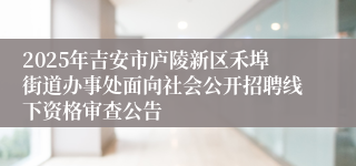 2025年吉安市庐陵新区禾埠街道办事处面向社会公开招聘线下资格审查公告