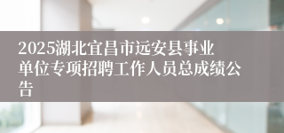 2025湖北宜昌市远安县事业单位专项招聘工作人员总成绩公告