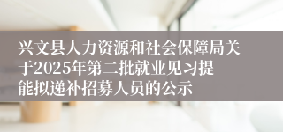 兴文县人力资源和社会保障局关于2025年第二批就业见习提能拟递补招募人员的公示