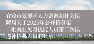 宜宾市翠屏区人力资源和社会保障局关于2025年公开招募第二批就业见习提能人员第三次拟递补招募人员的公示