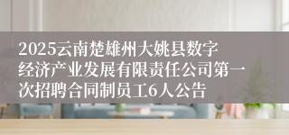 2025云南楚雄州大姚县数字经济产业发展有限责任公司第一次招聘合同制员工6人公告