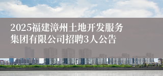 2025福建漳州土地开发服务集团有限公司招聘3人公告