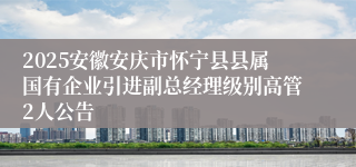 2025安徽安庆市怀宁县县属国有企业引进副总经理级别高管2人公告