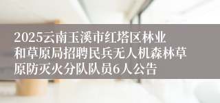 2025云南玉溪市红塔区林业和草原局招聘民兵无人机森林草原防灭火分队队员6人公告