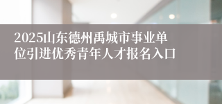 2025山东德州禹城市事业单位引进优秀青年人才报名入口