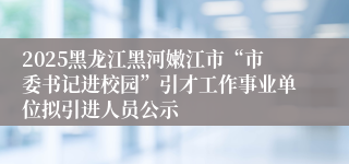 2025黑龙江黑河嫩江市“市委书记进校园”引才工作事业单位拟引进人员公示                       