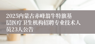 2025内蒙古赤峰翁牛特旗基层医疗卫生机构招聘专业技术人员23人公告
