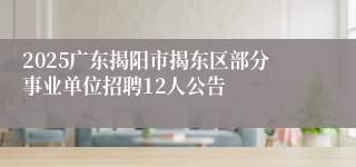 2025广东揭阳市揭东区部分事业单位招聘12人公告