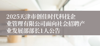 2025天津市创佳时代科技企业管理有限公司面向社会招聘产业发展部部长1人公告