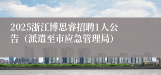 2025浙江博思睿招聘1人公告（派遣至市应急管理局）