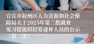 宜宾市叙州区人力资源和社会保障局关于2025年第二批就业见习提能拟招募递补人员的公示（第二次）
