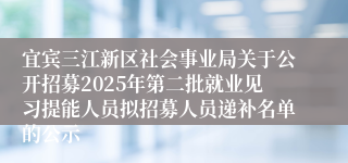 宜宾三江新区社会事业局关于公开招募2025年第二批就业见习提能人员拟招募人员递补名单的公示